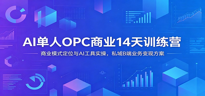 AI单人OPC商业14天训练营:商业模式定位与AI工具实操,私域B端业务变现方案-卿云社