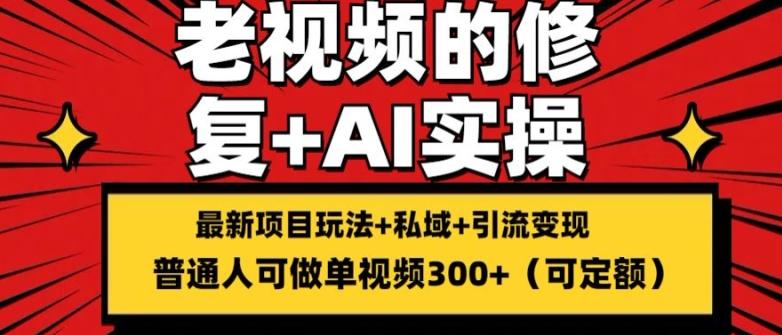 修复老视频的玩法，搬砖+引流的变现(可持久)，单条收益300+【揭秘】-卿云社