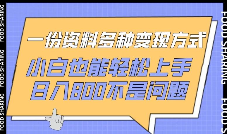 一份资料多种变现方式，小白也能轻松上手，日入800不是问题【揭秘】-卿云社
