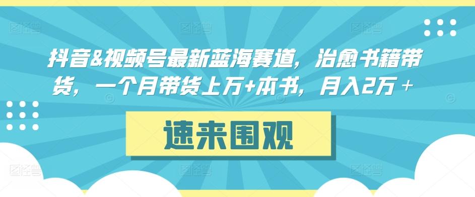 抖音&视频号最新蓝海赛道，治愈书籍带货，一个月带货上万+本书，月入2万＋【揭秘】-卿云社