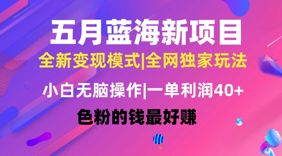 五月蓝海项目全新玩法，小白无脑操作，一天几分钟，矩阵操作，月入4万+-卿云社