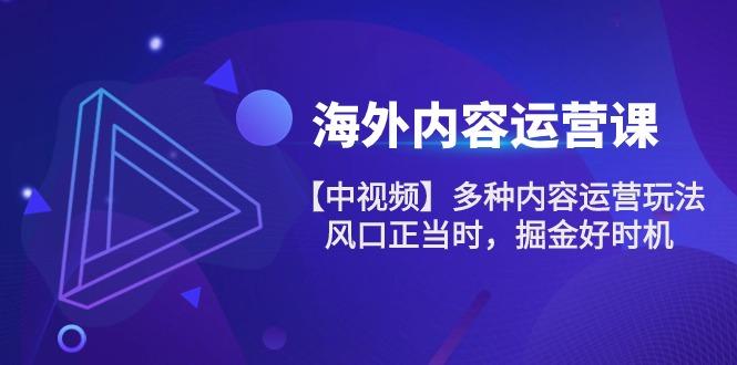 海外内容 运营课【中视频】多种内容运营玩法 风口正当时 掘金好时机-101节-小艾项目网