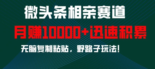 微头条相亲赛道，迅速积累，无脑复制粘贴，野路子玩法，月入1w-卿云社