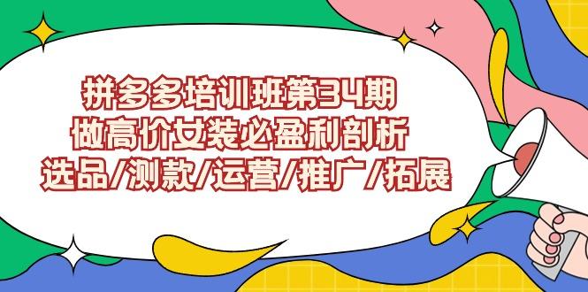 (9333期)拼多多培训班第34期：做高价女装必盈利剖析  选品/测款/运营/推广/拓展-卿云社