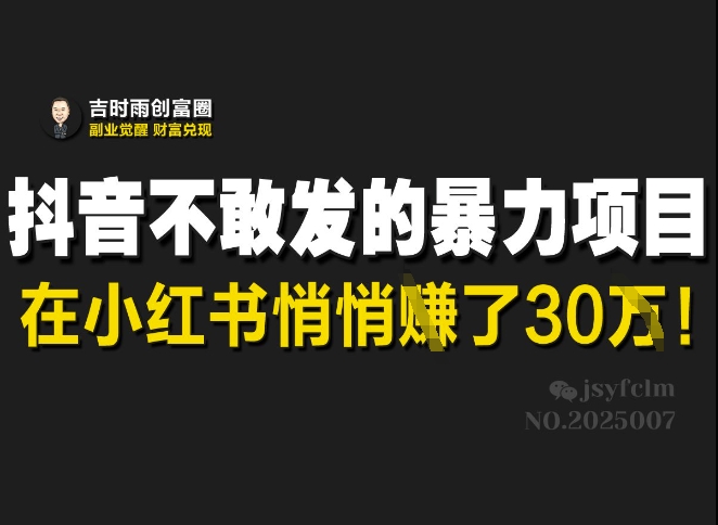 抖音不敢发的暴利项目，在小红书悄悄挣了30W-卿云社