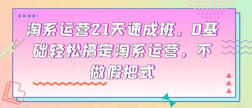 淘系运营21天速成班，0基础轻松搞定淘系运营，不做假把式-卿云社