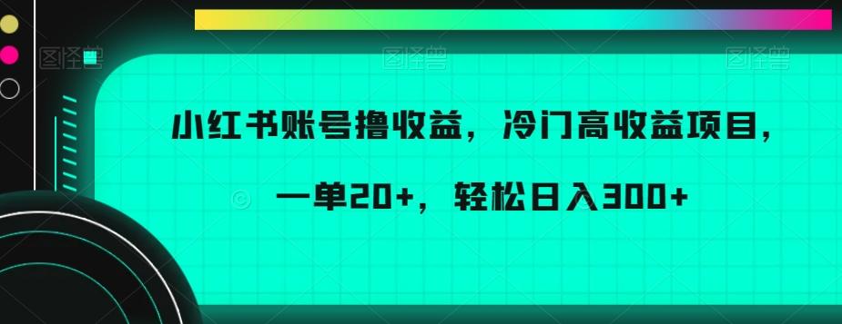 小红书账号撸收益，冷门高收益项目，一单20+，轻松日入300+【揭秘】-卿云社