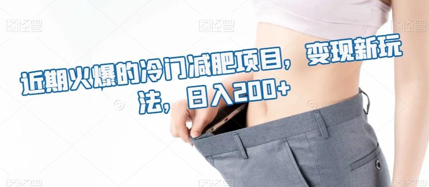 近期火爆的冷门减肥项目，变现新玩法，日入200+-卿云社