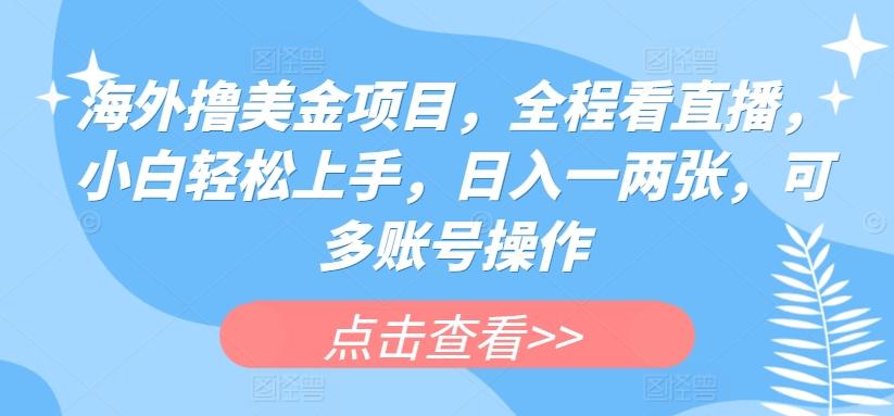 海外撸美金项目，全程看直播，小白轻松上手，日入一两张，可多账号操作【揭秘】-卿云社