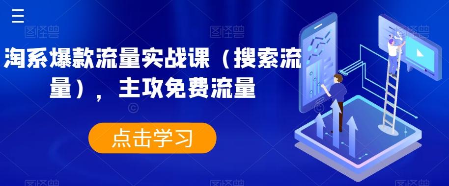 淘系爆款流量实战课（搜索流量），主攻免费流量-卿云社