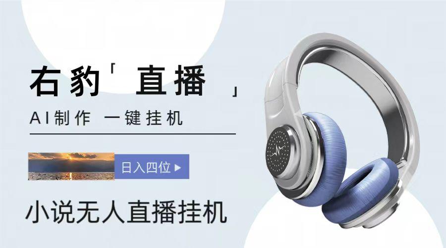 右豹小说无人直播挂机吸金项目,简单易行收益稳定, 月入1000+-卿云社