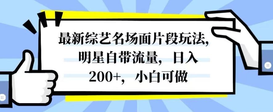 最新综艺名场面片段玩法，明星自带流量，日入200+，小白可做【揭秘】-卿云社