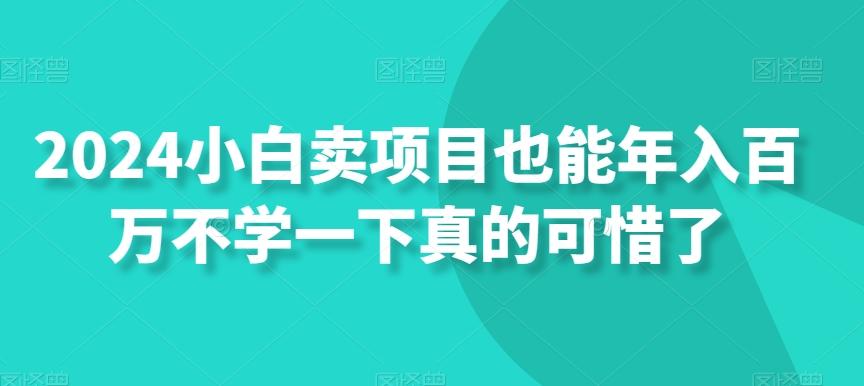 2024小白卖项目也能年入百万不学一下真的可惜了-卿云社