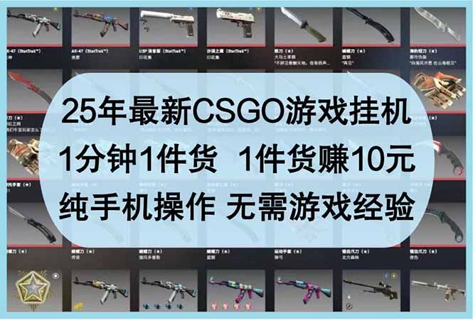 25年最新CSGO游戏挂机，1分钟1件货，1件货赚10元 纯手机操作 无需游戏经验-卿云社