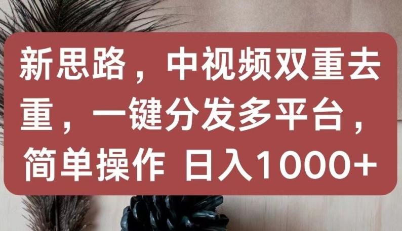 新思路，中视频双重去重，一键分发多平台，简单操作，日入1000+【揭秘】-卿云社