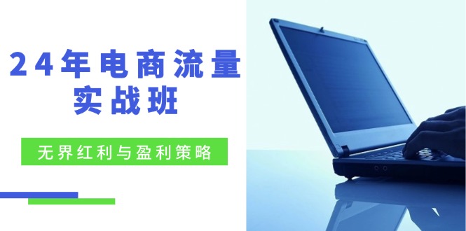 24年电商流量实战班：无界 红利与盈利策略，终极提升/关键词优化/精准…-卿云社