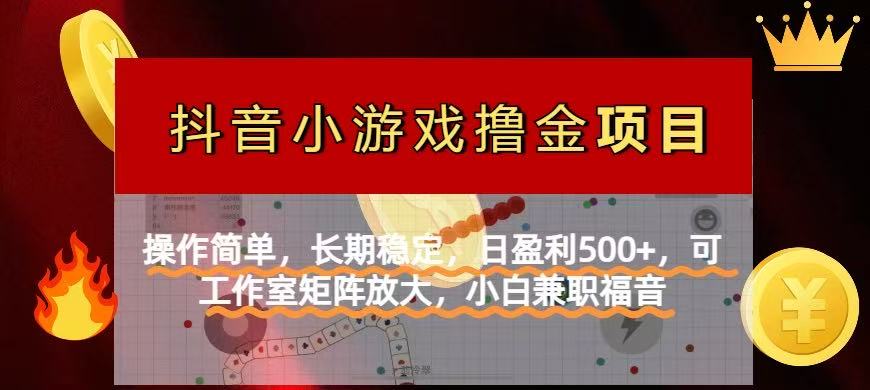 【抖音小游戏发行人计划项目】操作简单，长期稳定，日盈利500+，可工作...-小艾项目网