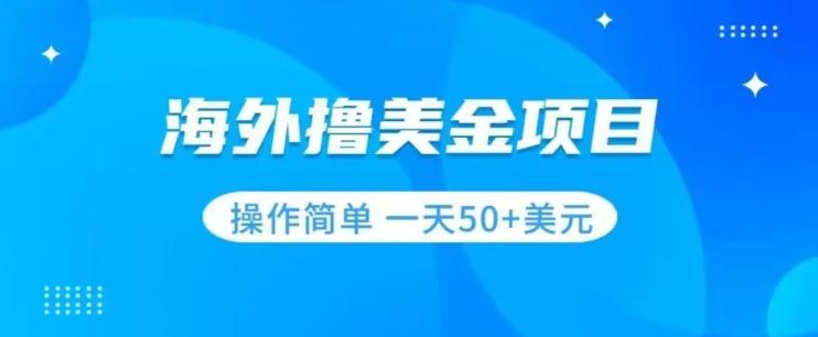撸美金项目无门槛操作简单小白一天50+美刀-卿云社