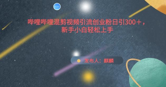 哔哩哔哩混剪视频引流创业粉日引300+，新手小白轻松上手【揭秘】-卿云社