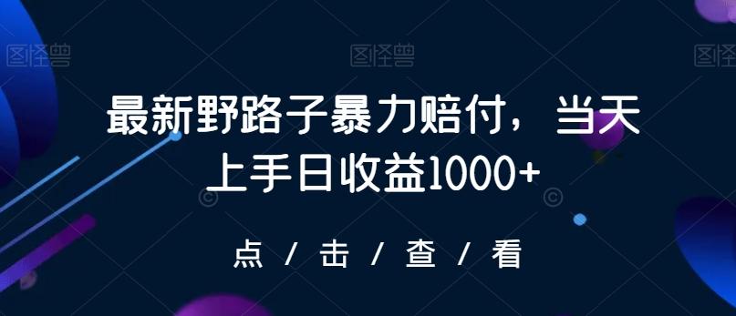 最新野路子暴力赔付，当天上手日收益1000+【仅揭秘】-卿云社