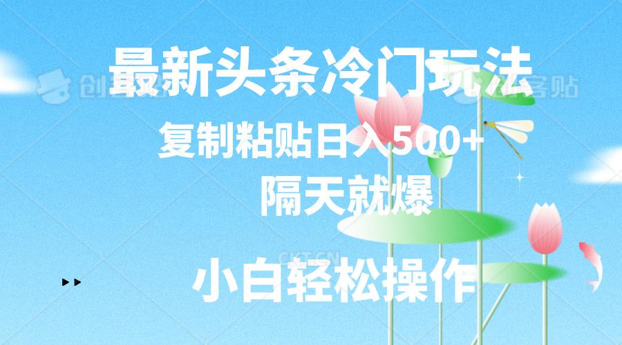 最新头条冷门玩法，隔天就爆，复制粘贴日入500+-卿云社