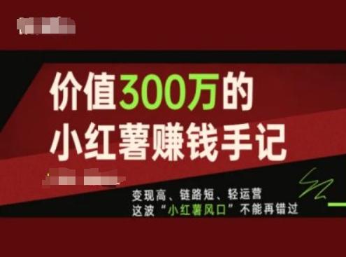 价值300万的小红书赚钱手记，变现高、链路短、轻运营，这波“小红薯风口”不能再错过-卿云社
