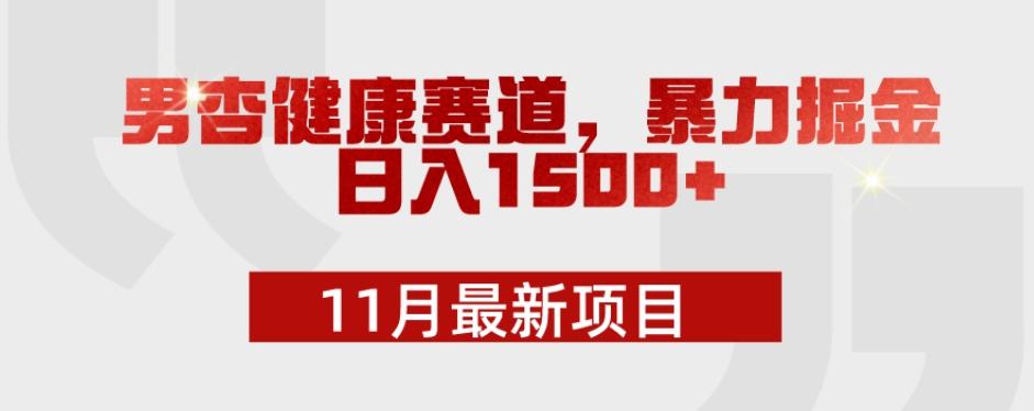 11月最新项目，男杏健康赛道，暴力掘金，日入1500+-卿云社