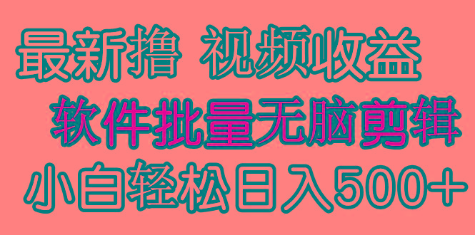 (9569期)发视频撸收益，软件无脑批量剪辑，第一天发第二天就有钱-卿云社
