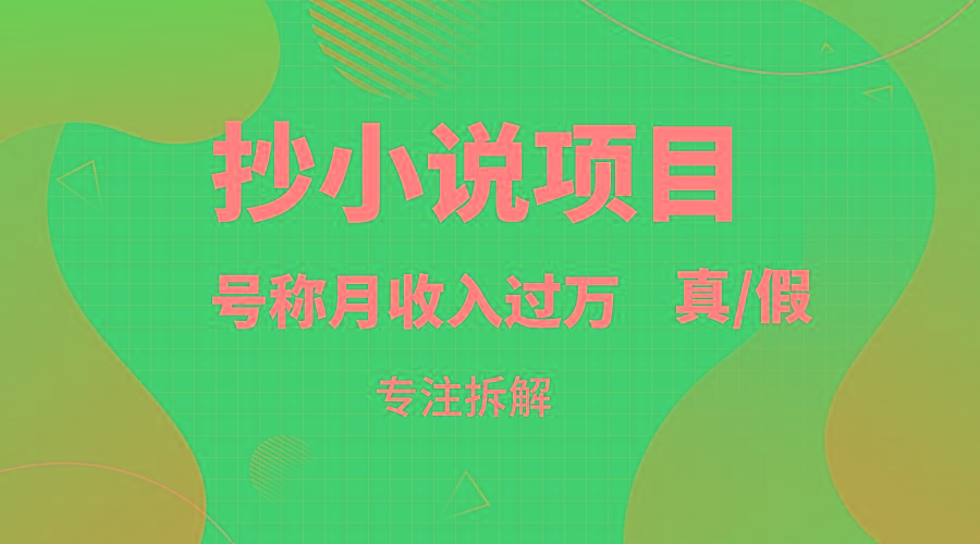抄小说项目，号称月入过万，到底是否真实，能不能做，详细拆解-卿云社