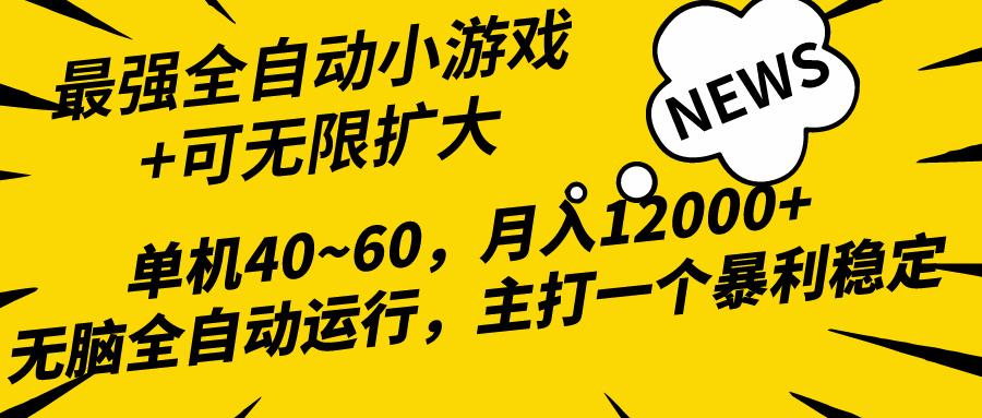 (10046期)2024最新全网独家小游戏全自动，单机40~60,稳定躺赚，小白都能月入过万-卿云社