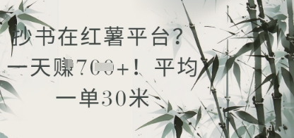 抄书在小红薯平台？平均一单30米，一天收益几张！-卿云社