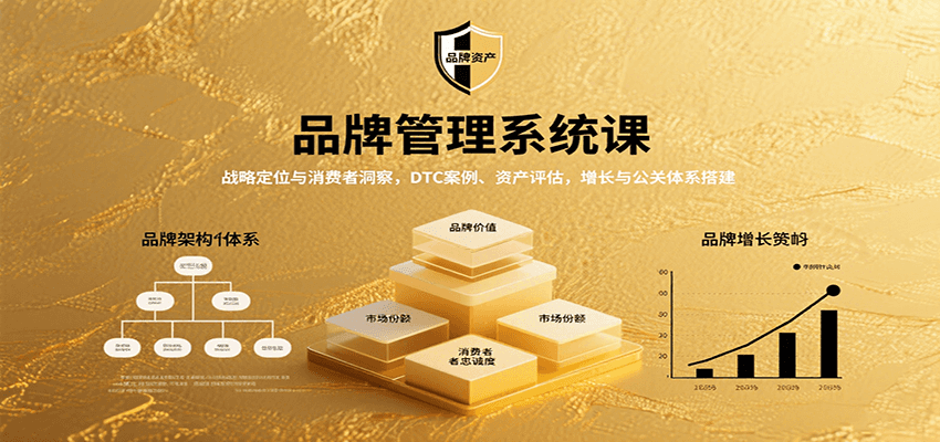 品牌管理系统课：战略定位与消费者洞察，DTC案例、资产评估，增长与公关体系搭建-卿云社