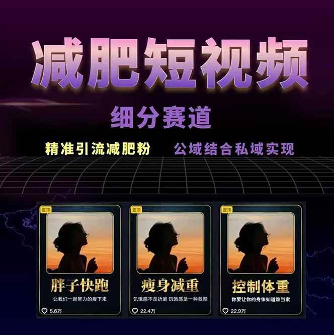 图片[2]-减肥短视频运营实战课：含素材制作、剪映教学，讲精准引流、变现设计与内容模板技巧-卿云社