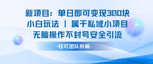 新项目单日即可变现3张的小白玩法无脑操作不封号安全引流-卿云社