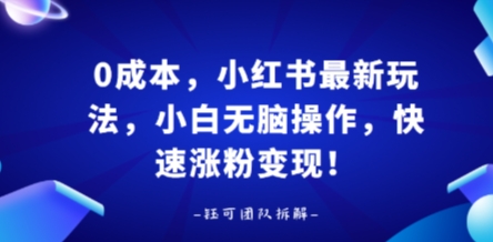 0成本，小红书最新玩法，小白无脑操作，快速涨粉变现-卿云社