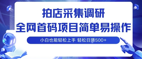 拍店采集调研，全网首码项目，简单易操作， 小白也能轻松上手，多账号操作，轻松日入5张【揭秘】-卿云社