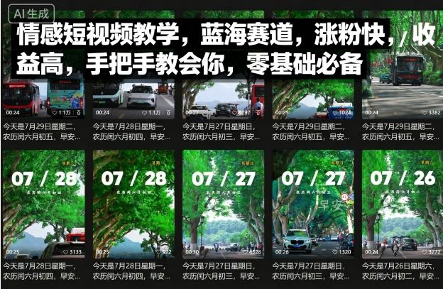 情感短视频教学，蓝海赛道，涨粉快，收益高，手把手教会你，零基础必备-卿云社