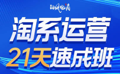 白凤电商·淘系运营21天速成班(更新9月)-卿云社