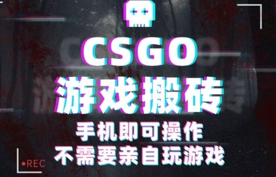 CSGO游戏挂G捡漏，单日扫货5张+，年底小高峰上车可吃肉，手机即可操作，兼职副业创业网创【揭秘】-卿云社