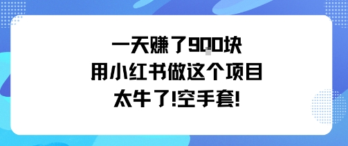 一天挣了9张用小红书做这个项目太牛了，空手套-卿云社