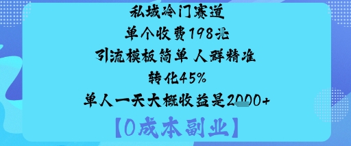 私域冷门赛道:单个收费198米引流模板简单人群精准转化45%单人一天大概收益是1k+-卿云社