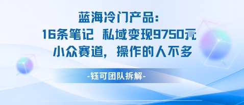 蓝海项目：16条笔记私域变现9750米小众赛道操作的人不多-卿云社