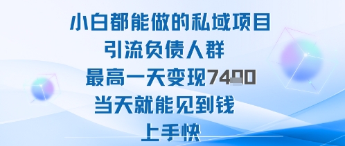 2025年小白都能做的私域项目引流负债人群最高一天变现1k+高变现难度低当天就能见到钱上手快-卿云社