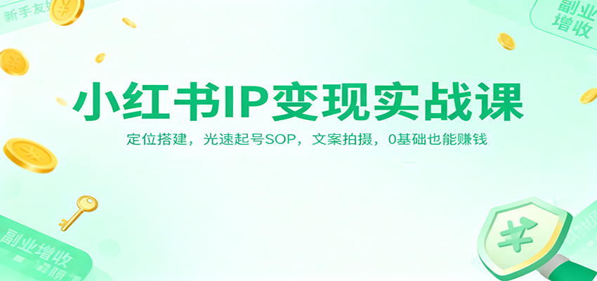 小红书IP变现实战课：定位搭建，光速起号SOP，文案拍摄，0基础也能赚钱-卿云社