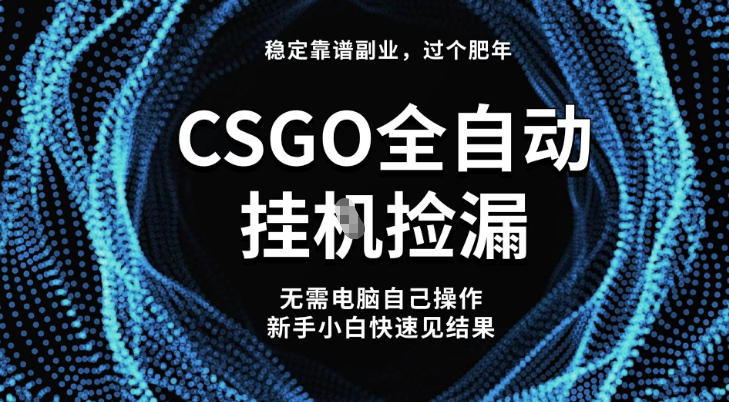 【稳定副业】全球最热门游戏CSGO全自动捡漏，最新玩法，新手小白日入5张+【揭秘】-卿云社