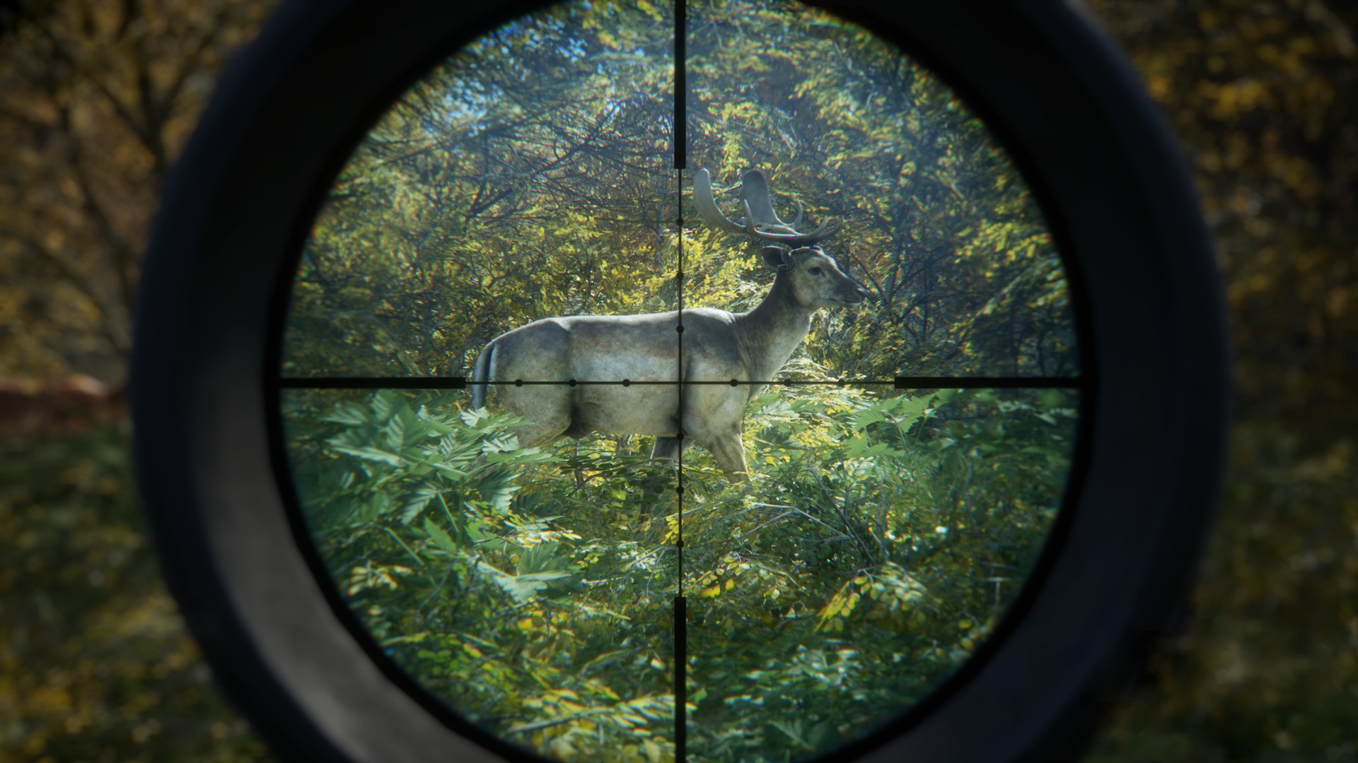 《猎人：荒野的召唤/theHunter: Call of the Wild》PC中文版下载-含v3101875-小艾项目网