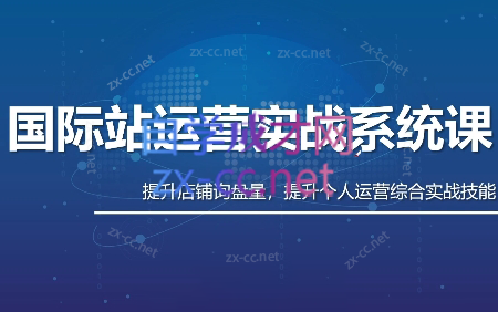 白老师·国际站运营实战系统(高质量询盘增长课)(部分更新)-卿云社