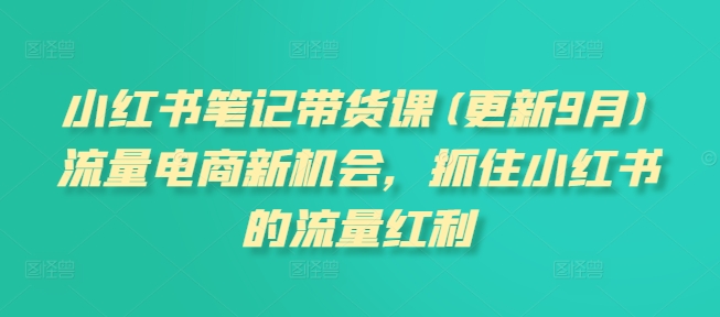 小红书笔记带货课(更新25年12月)流量电商新机会，抓住小红书的流量红利-卿云社