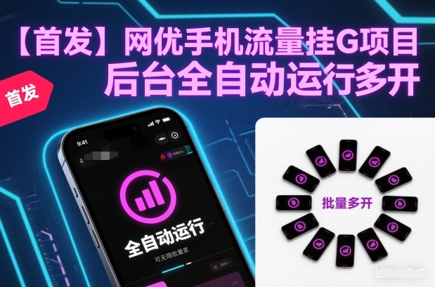 【首发】网优手机流量挂G项目，后台全自动运行，可无限批量多开【揭秘】-卿云社