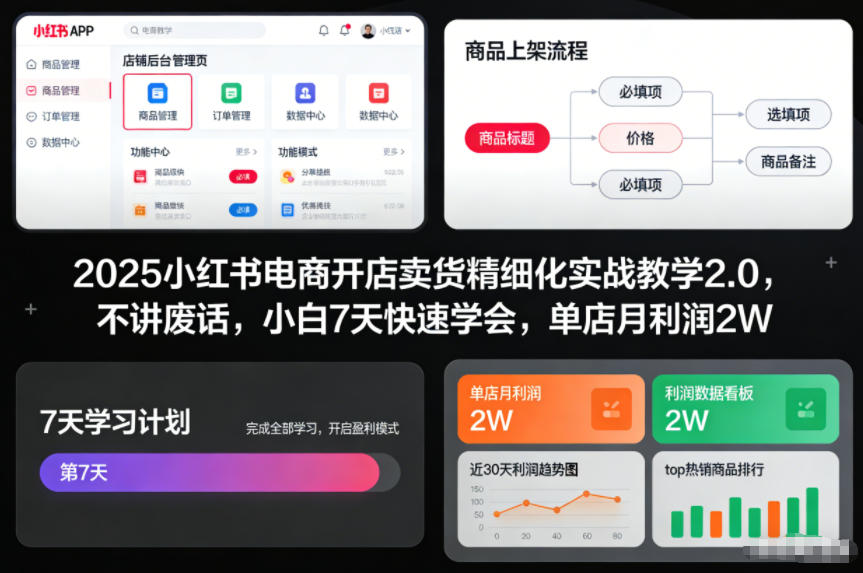 2025小红书电商开店卖货精细化实战教学2.0，不讲废话，小白7天快速学会，单店月利润2W-卿云社